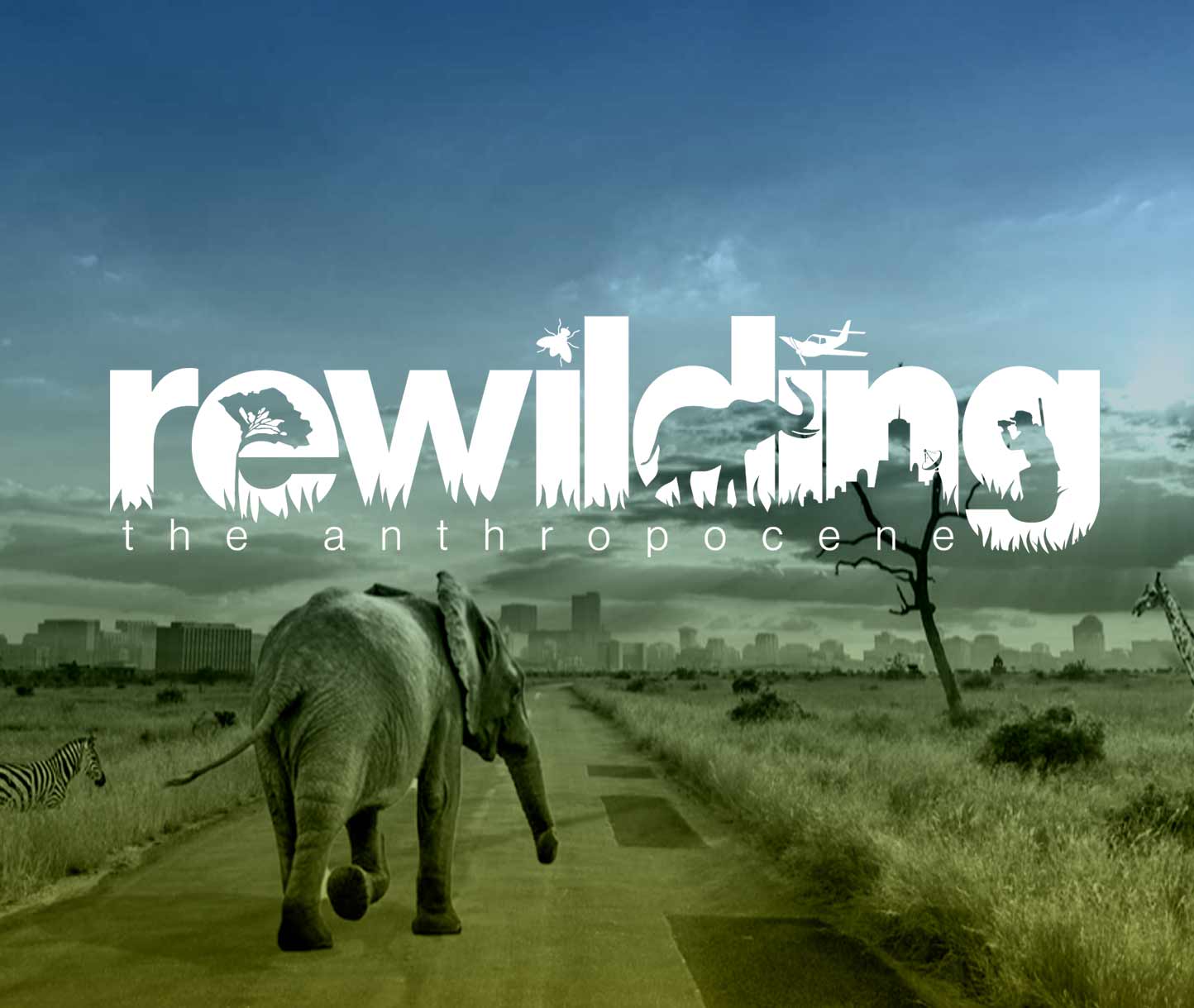 rewilding Cover Bild